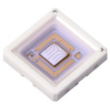 UVLED灯珠-6060封装UVLED-365nm灯珠